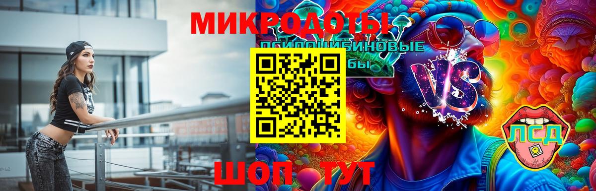 Вышний Волочёк  Псилоцибиновые грибы Psilocybe  Вход с VPN  Псилоцибиновые грибы мухоморы 